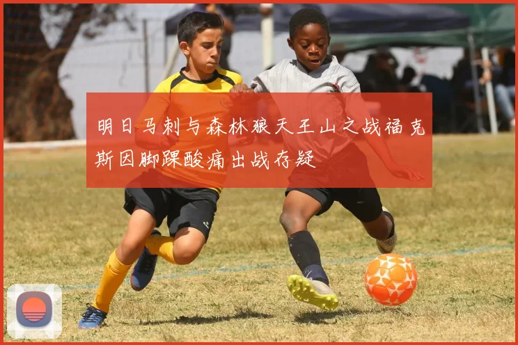 明日马刺与森林狼天王山之战福克斯因脚踝酸痛出战存疑